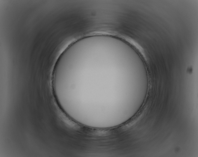 X0000096641423200802050947