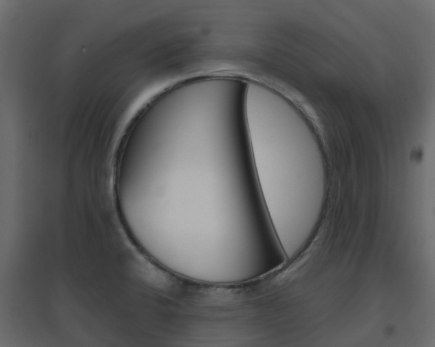 X0000096641424200802050947