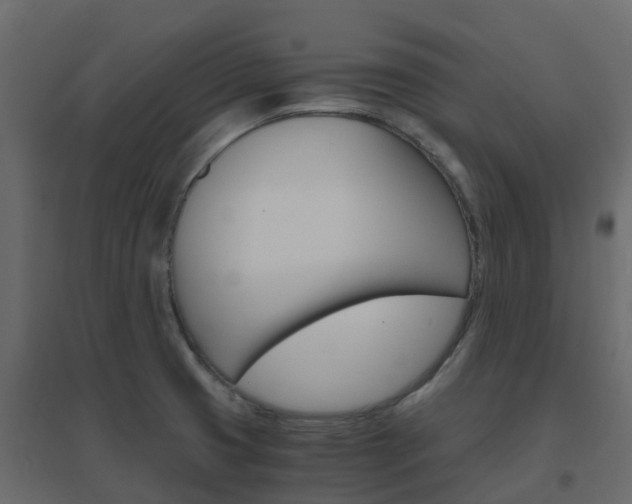 X0000096641425200802050947