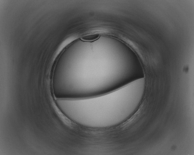 X0000096641426200802050947