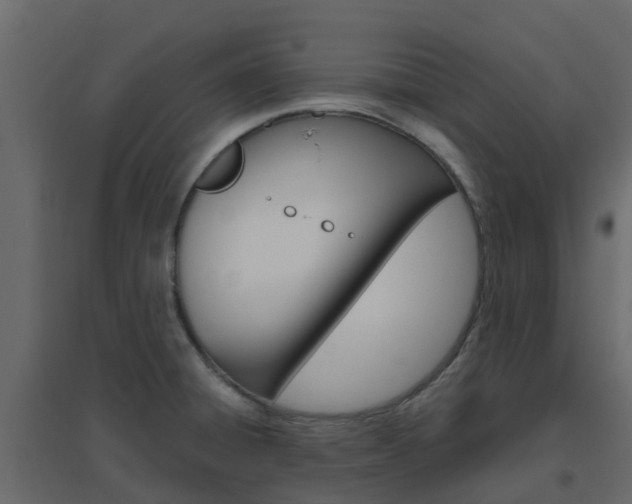 X0000096641428200802050947