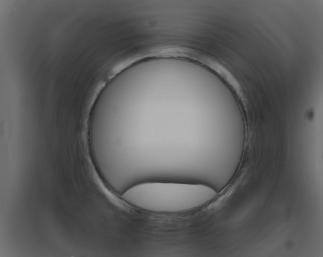 X0000096641429200802050947
