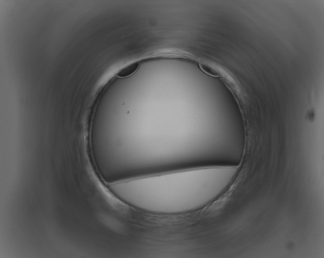 X0000096641430200802050947