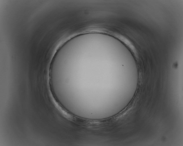 X0000096641431200802050947