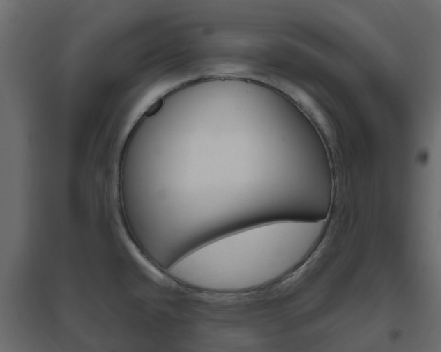 X0000096641432200802050947