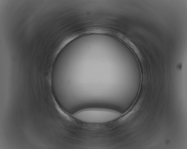 X0000096641433200802050947