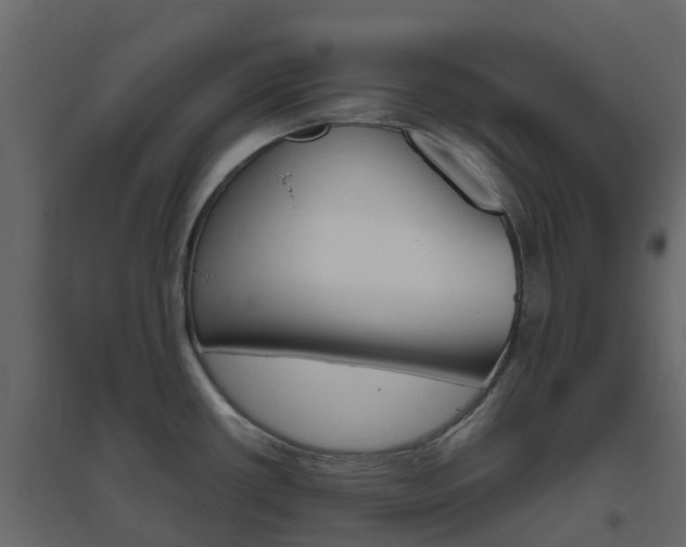 X0000096641434200802050947