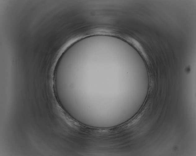 X0000096641435200802050947