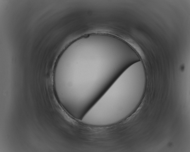 X0000096641436200802050947
