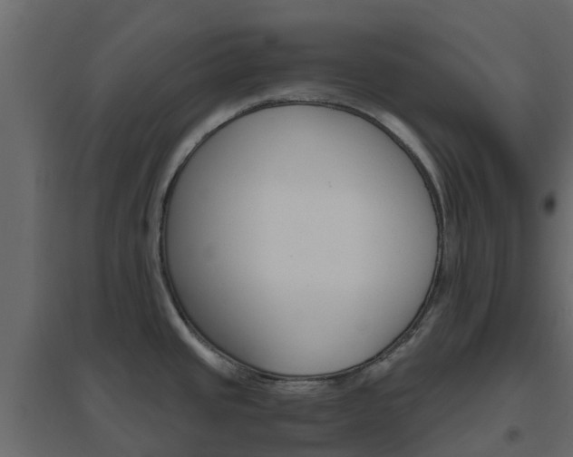 X0000096641437200802050947