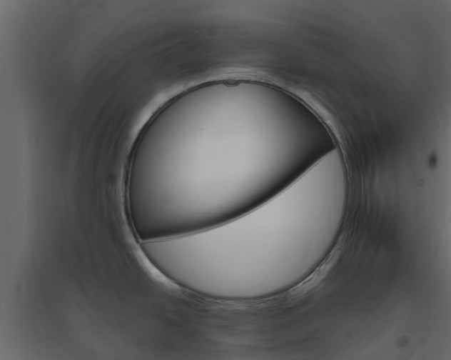 X0000096641438200802050947