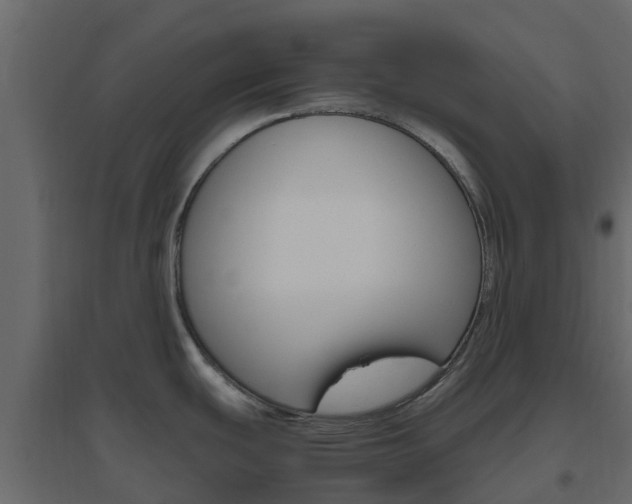 X0000096641439200802050947