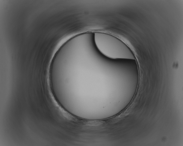 X0000096641440200802050947