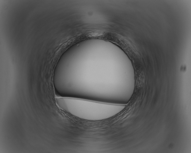 X0000096641441200802050946