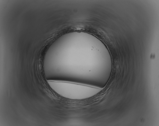 X0000096641442200802050946