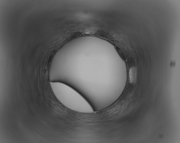 X0000096641443200802050946