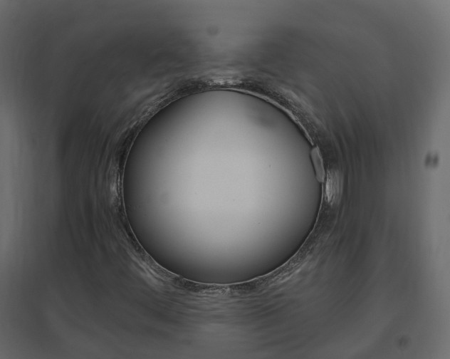 X0000096641444200802050946