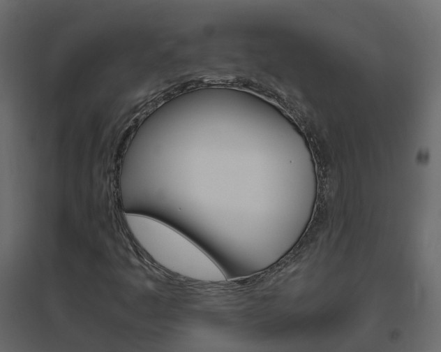 X0000096641445200802050946