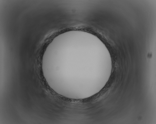 X0000096641447200802050946
