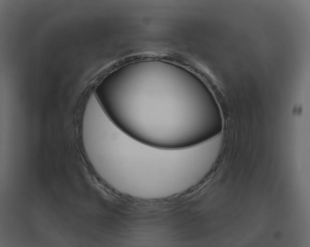 X0000096641448200802050946
