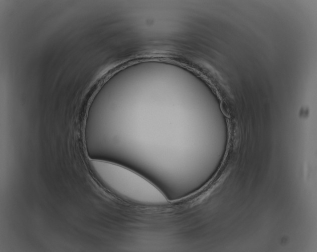 X0000096641449200802050946