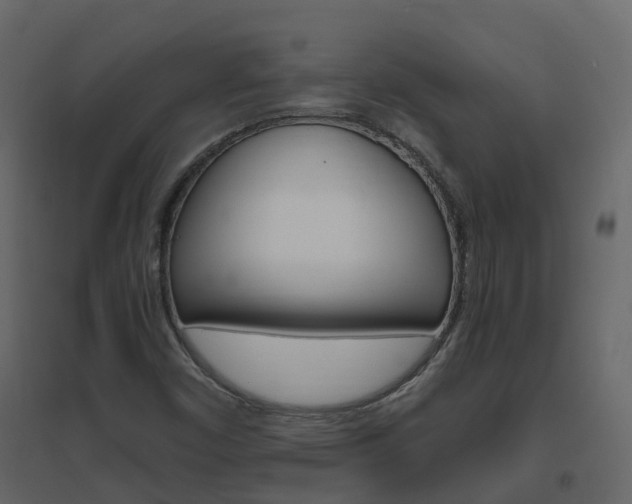 X0000096641450200802050946