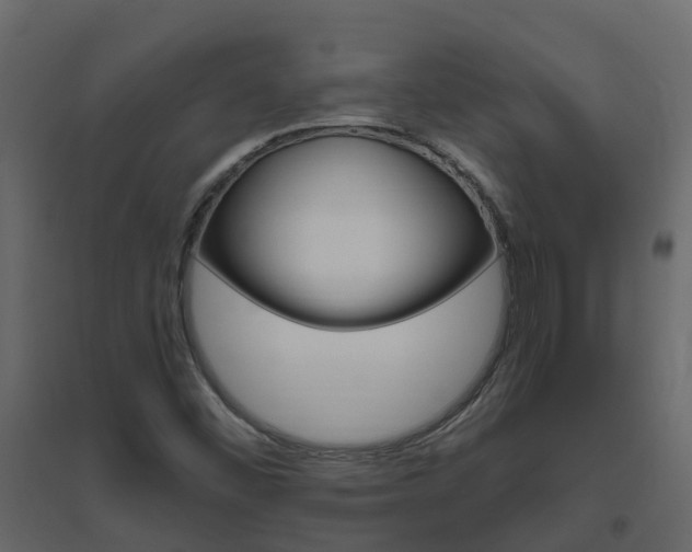 X0000096641452200802050946
