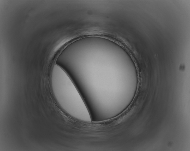X0000096641453200802050946