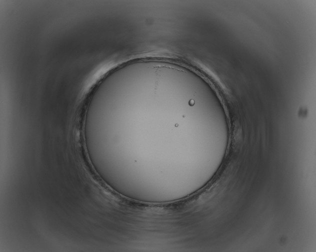 X0000096641455200802050946