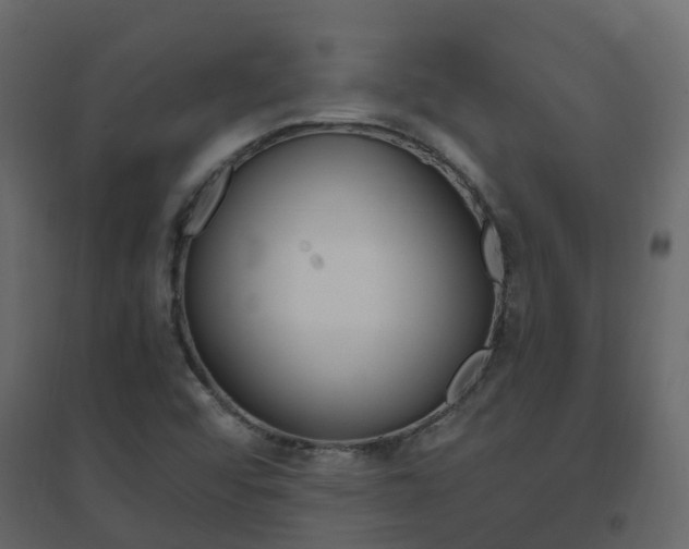 X0000096641456200802050946