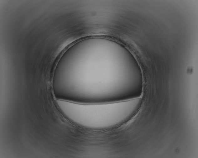 X0000096641457200802050946