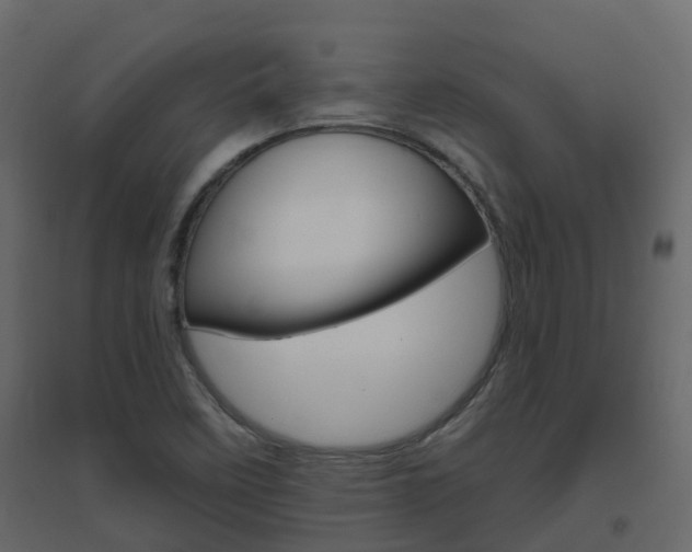 X0000096641458200802050946