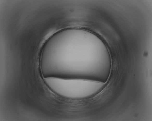 X0000096641459200802050946