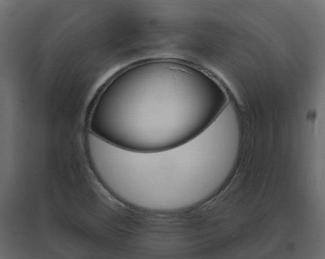 X0000096641460200802050946