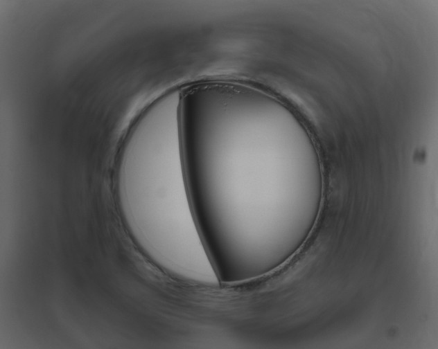 X0000096641461200802050946