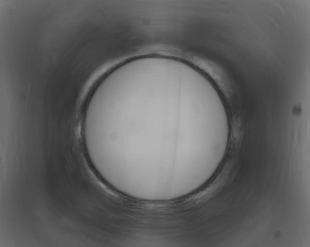 X0000096641462200802050946