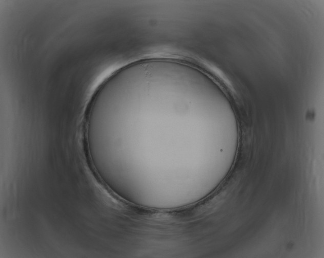 X0000096641463200802050946