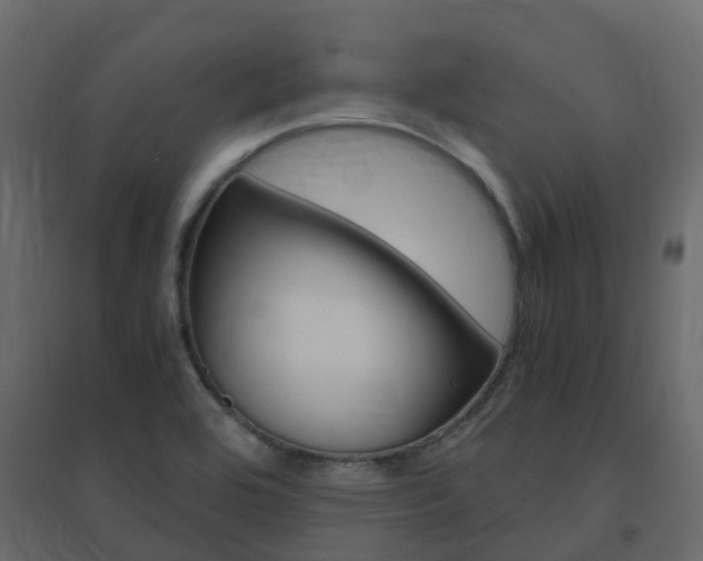 X0000096641464200802050946