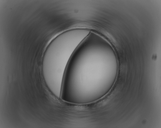 X0000096641465200802050946