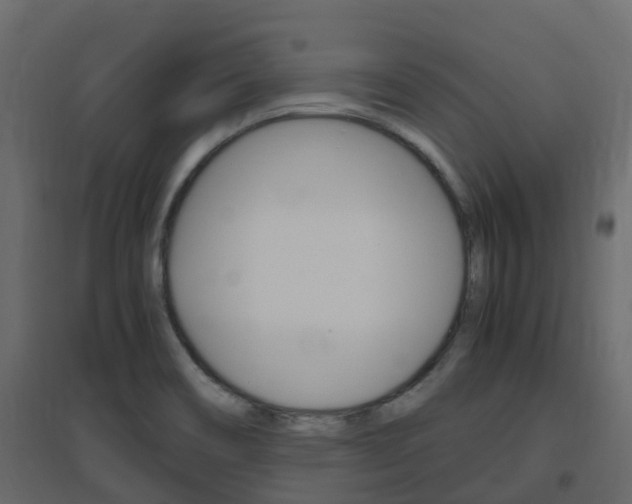 X0000096641466200802050946