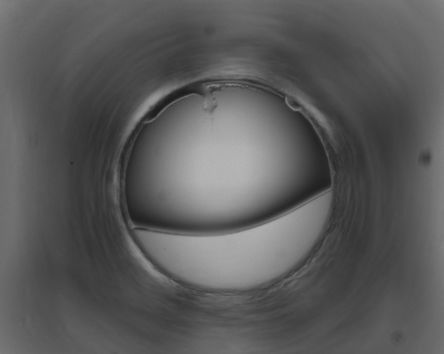 X0000096641468200802050946