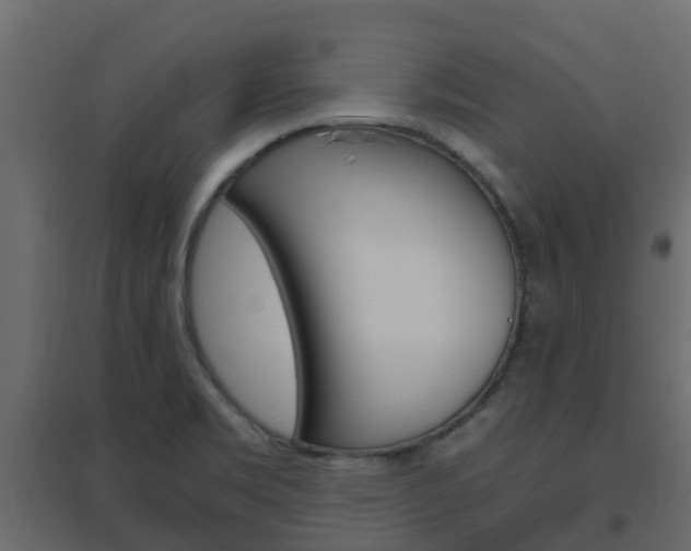 X0000096641469200802050946