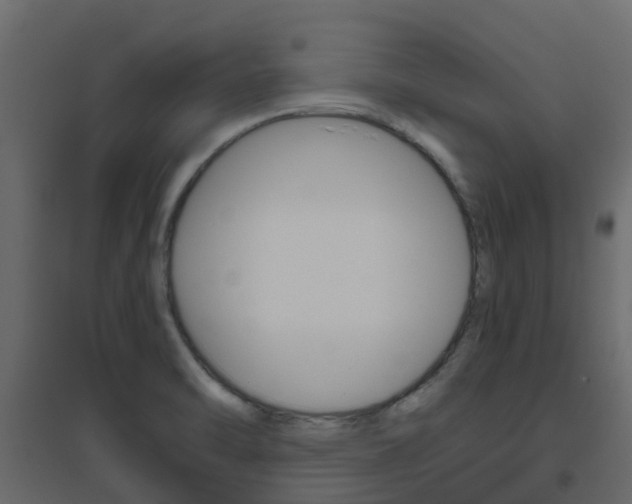 X0000096641470200802050946