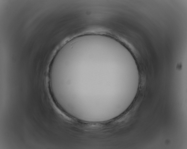 X0000096641471200802050946