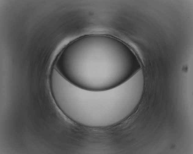 X0000096641472200802050946