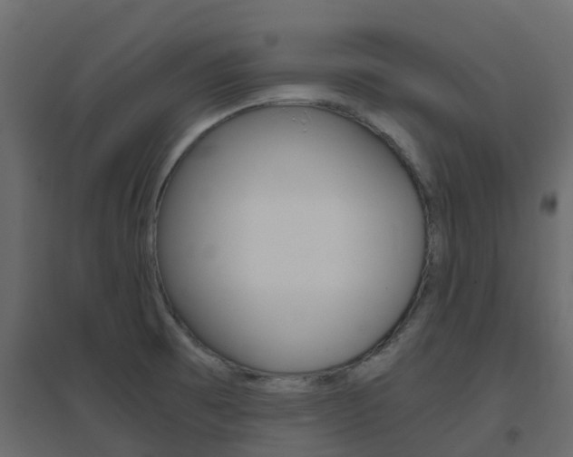 X0000096641473200802050946