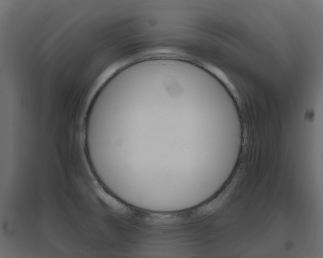 X0000096641474200802050946