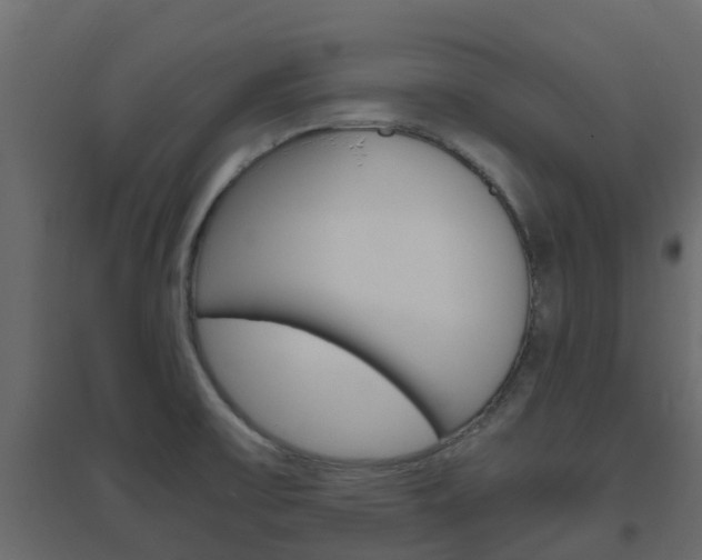 X0000096641475200802050946