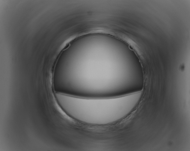 X0000096641476200802050946