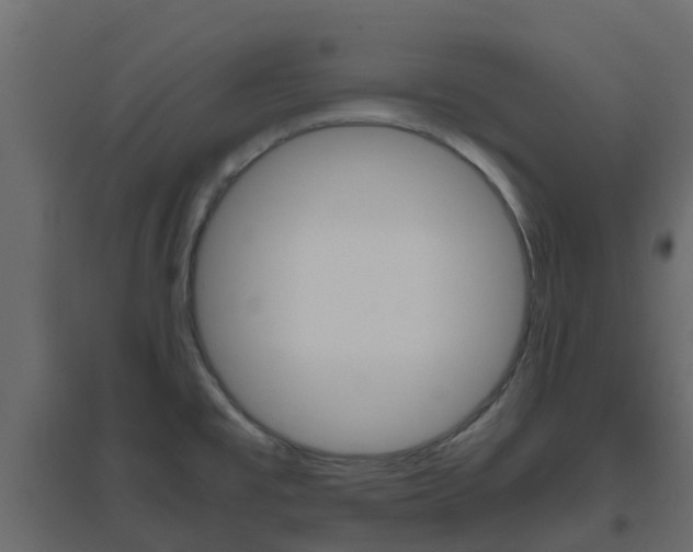 X0000096641477200802050946